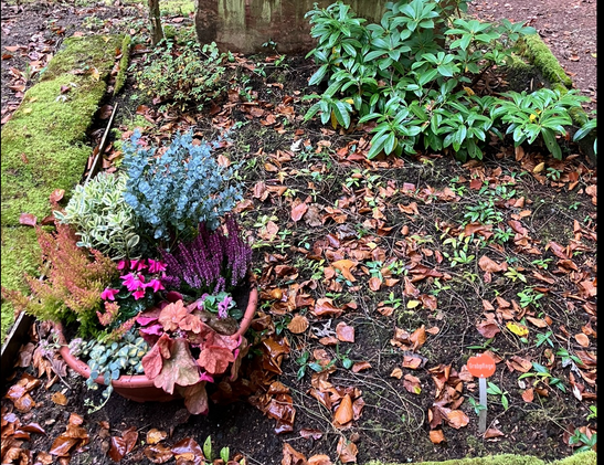 Doppelgrab mit einer bunten Herbstschale in der linken unteren Ecke und grüner Bepflanzung in der rechten oberen Ecke